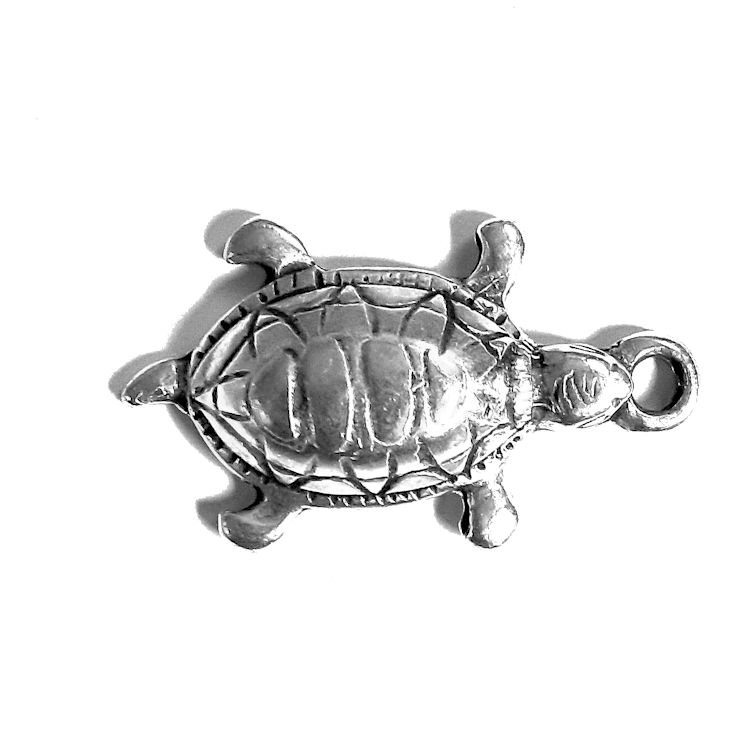 bedel-schildpad