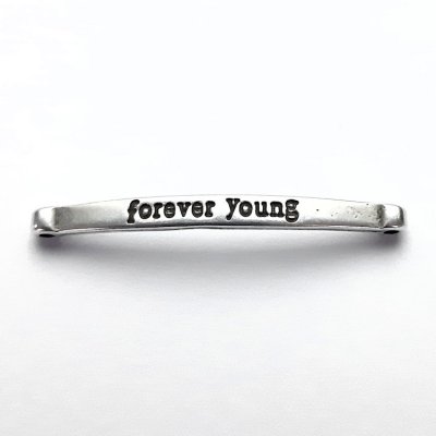 DQ-tussenzetsel-forever-young-zilver