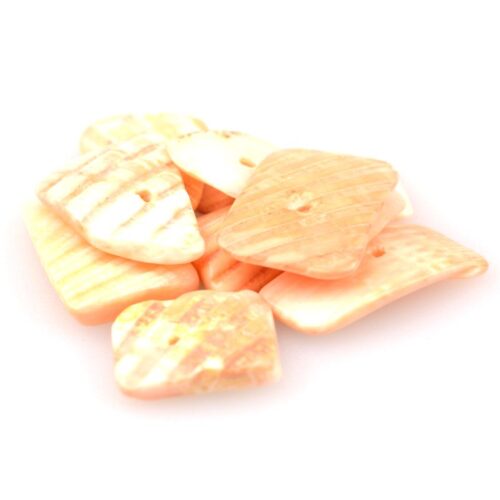 schelpkralen-stukjes-zalm